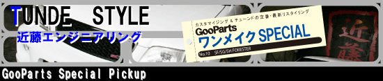 GooPartsCNSPECIAL@No.10 SF/SG/SH FORESTER 
