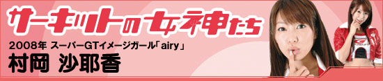 덁@2008NX[p[GTC[WK[uairyv