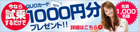 撅1000lQUOJ[hv[gIVԎȂGoo-net