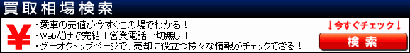 ȒP1摊ꌟ
