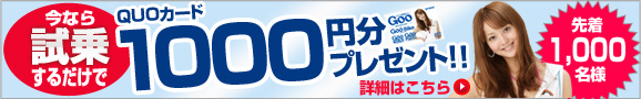 VԎQUOJ[h1000~v[gLy[