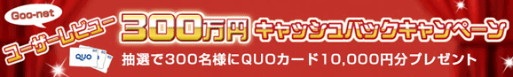 Goo-net [U[r[ 300~LbVobNLy[