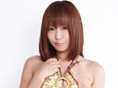 [XNC[ T[Lbg̏_ 삳