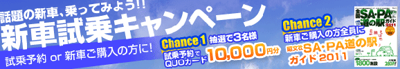 VԎQUOJ[h10000v[gLy[