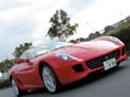 yztF[ 599