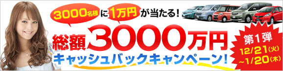 Goo-net z3000~LbVobNLy[