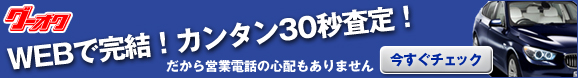 ԔI[NVO[IN