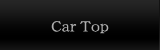 Car Top