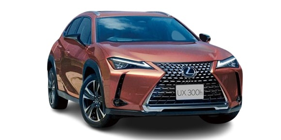 ���N�T�X �t�w 