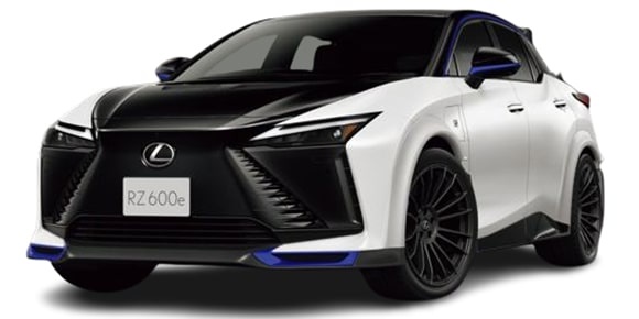 ���N�T�X �q�y 