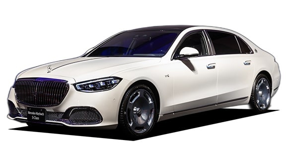 �����Z�f�X�}�C�o�b�n �r�N���X Z223