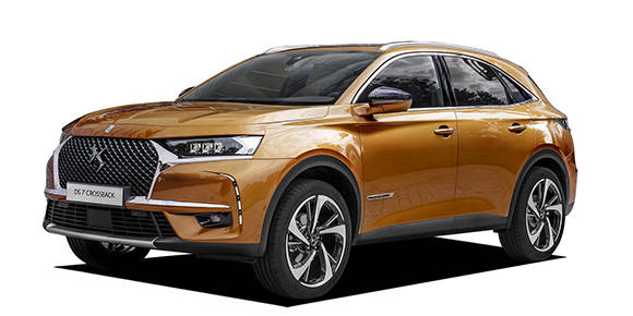 �V�g���G�� �c�r�V�N���X�o�b�N 