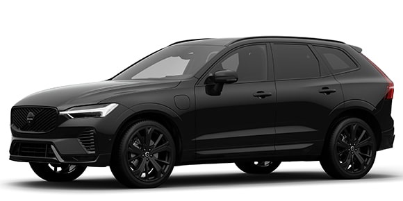 ぽよ 51vrPw3jdyL._UF350,350_QL50_.jpg