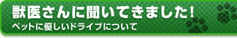 bコɕĂ܂I ybgɗDhCuɂ
