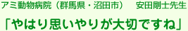 A~a@iQnEcsj@cm搶 u͂v肪؂ł