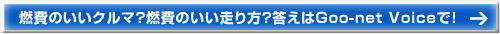 R̂N}HR̂HGoo-net VoiceŁI