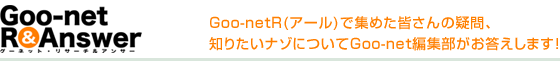 Goo-net R&Answer Goo-netRiA[jŏW߂F̋^Am肽i]ɂGoo-netҏW܂I