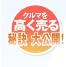 N}邽߂̔錍 JI