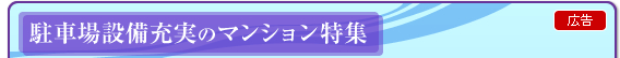 ԏݔ[̃}VW