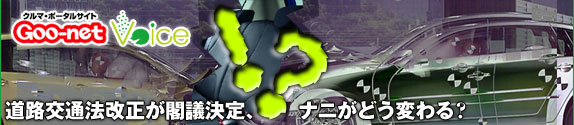 Hʖ@tcAijǂςH