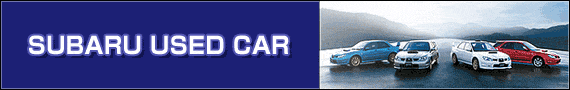 SUBARU̒ÎԂ𔃂ȂSSUBARUfB[[ց@ȃLy[{I