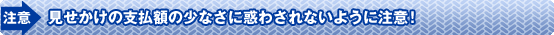 Ӂˌ̎xz̏Ȃɘf킳Ȃ悤ɒӁI