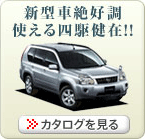 X-TRAIL GNXgC