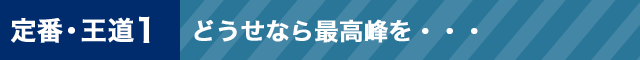 定番・王道1どうせなら最高峰を・・・