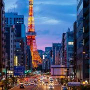 都会での車所有にかかる維持費はいくら？居住地における車の必要性を考えよう