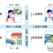 自動車保険と車両保険の違いとは？車両保険を付ける必要性について解説