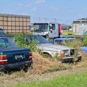 【トラブルを避けるために】廃車手続き完了の確認方法を解説