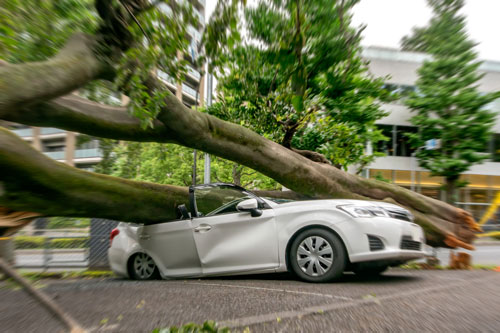 台風によって発生する車体被害の一例