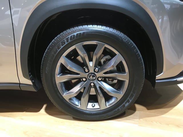 NX300