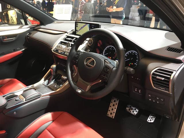 NX300