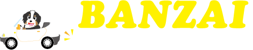 BANZAI 自社ローン大阪 バンザイオート