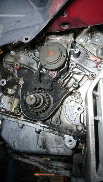 アルファロメオ　アルファＧＴＶ　エンジン関連修理・整備